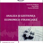 Analiza și gestiunea economico-financiară: Suport de curs